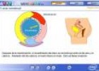 El ciclo menstrual | Recurso educativo 1231