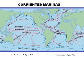 Las corrientes marinas | Recurso educativo 774682