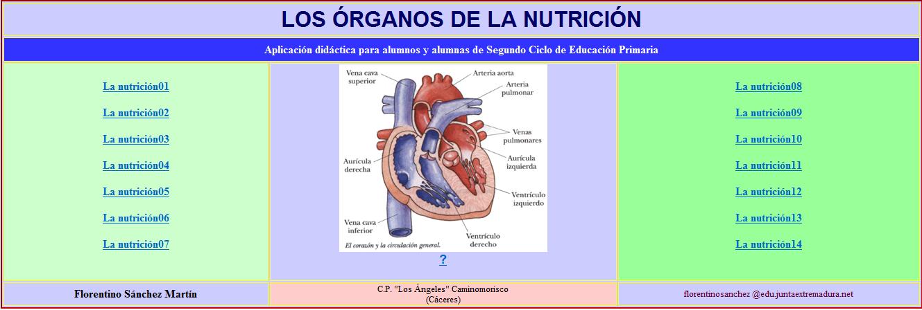 Los órganos de la nutrición | Recurso educativo 34648