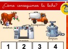 La leche | Recurso educativo 35598