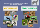 Animals | Recurso educativo 40400