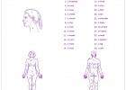 Parts of the Body | Recurso educativo 41691