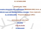 Catabolisme | Recurso educativo 47282