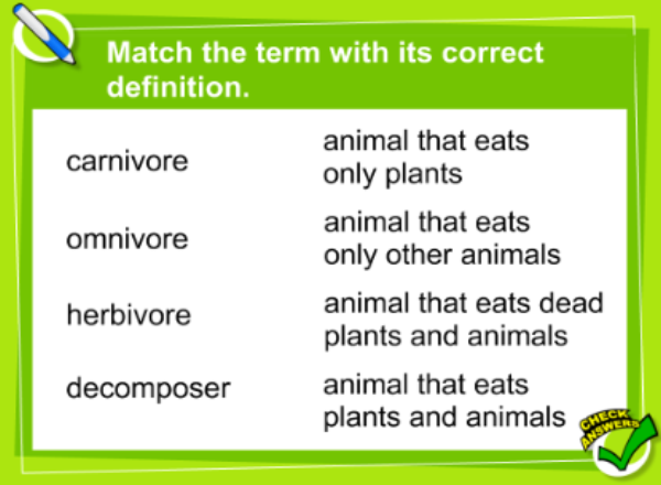 Energy in the food chain | Recurso educativo 47436