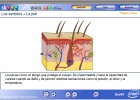 Los sentidos - La piel | Recurso educativo 48416