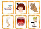 Body Parts Flashcards (set 1) | Recurso educativo 19290