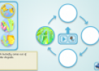 Cyclical Sequencer (Butterfly) | Recurso educativo 25487