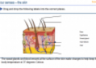 The skin | Recurso educativo 26948