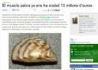 musclo zebra | Recurso educativo 30579