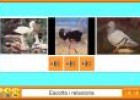 Els animals vertebrats | Recurso educativo 3562