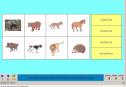 Els animals vertebrats I | Recurso educativo 4417