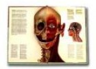 El Cuerpo Humano: interacción | Recurso educativo 5362