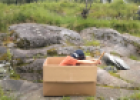 Video: The adventures of a cardboard box | Recurso educativo 63475