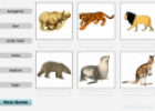 Zoo animals | Recurso educativo 73804