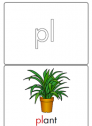 Phonic card: Pl- | Recurso educativo 78855