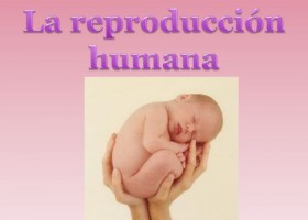 REPRODUCCIÓN HUMANA.pptx | Recurso educativo 768504